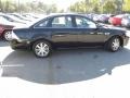 Black Clearcoat - Taurus SEL Photo No. 14