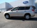 Beige Metallic - RAV4  Photo No. 5