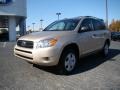 Beige Metallic - RAV4  Photo No. 6