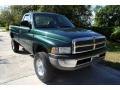 1999 Emerald Green Pearl Dodge Ram 2500 ST Regular Cab 4x4  photo #23