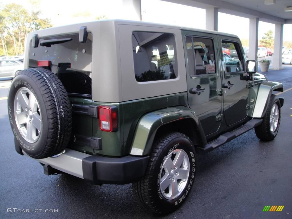 2008 Wrangler Unlimited Sahara 4x4 - Jeep Green Metallic / Dark Slate Gray/Med Slate Gray photo #6