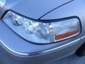 Light Parchment Gold - Town Car Signature Photo No. 10