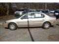 Sunlit Sand Metallic - Maxima GLE Photo No. 19