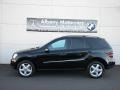 Black - ML 350 4Matic Photo No. 1
