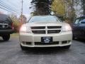 White Gold - Avenger SXT Photo No. 2