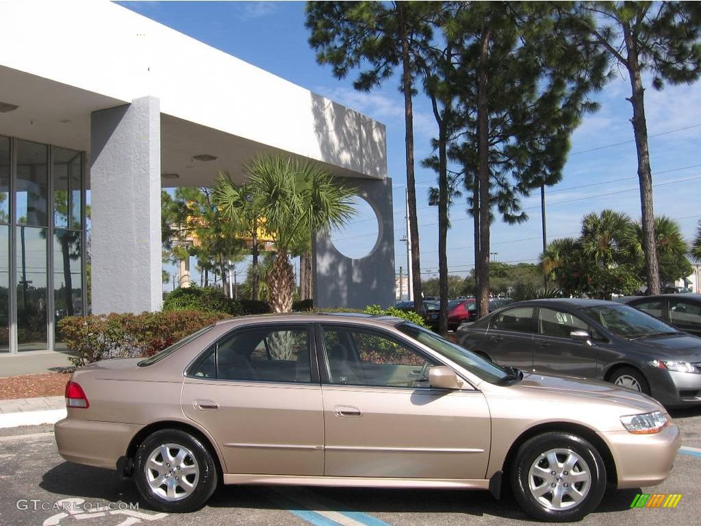 2002 Accord EX Sedan - Naples Gold Metallic / Ivory photo #2