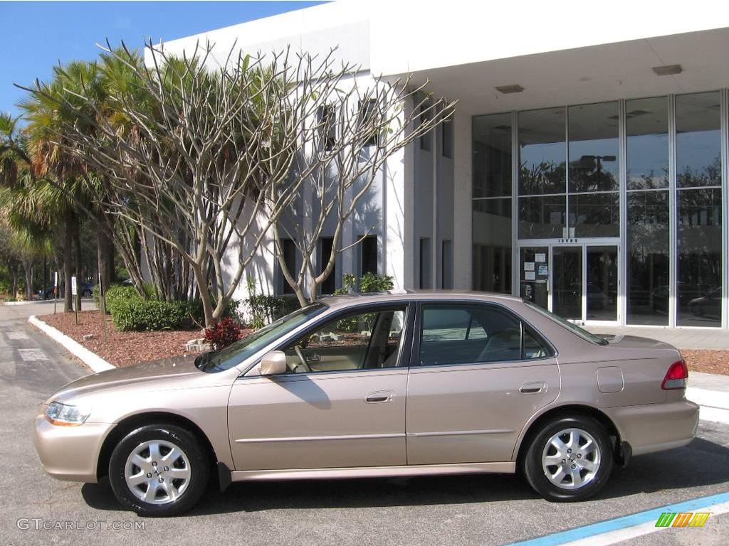 2002 Accord EX Sedan - Naples Gold Metallic / Ivory photo #5