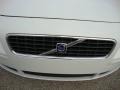 Ice White - S40 T5 AWD Photo No. 30