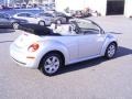 Reflex Silver - New Beetle 2.5 Convertible Photo No. 23