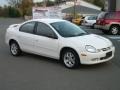 2002 Stone White Dodge Neon SXT  photo #2