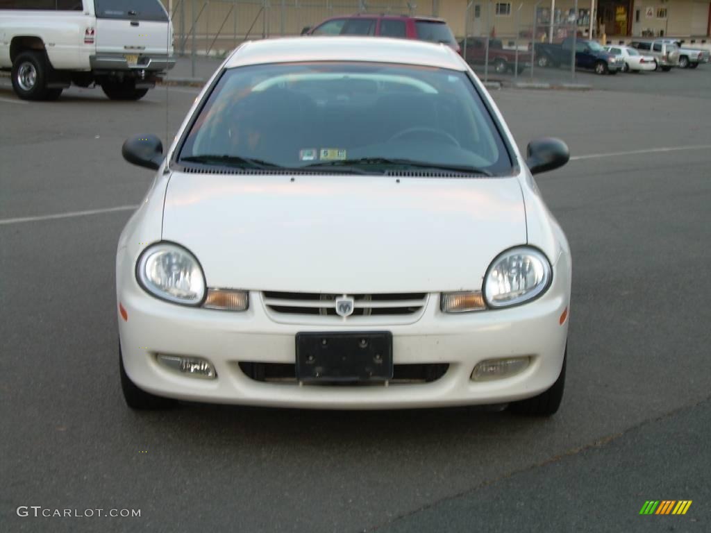 2002 Neon SXT - Stone White / Dark Slate Gray photo #3