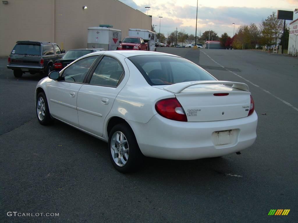 2002 Neon SXT - Stone White / Dark Slate Gray photo #6