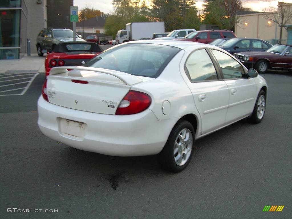 2002 Neon SXT - Stone White / Dark Slate Gray photo #8
