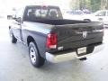 2010 Brilliant Black Crystal Pearl Dodge Ram 1500 ST Regular Cab  photo #3