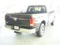 2010 Brilliant Black Crystal Pearl Dodge Ram 1500 ST Regular Cab  photo #6