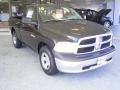 2010 Brilliant Black Crystal Pearl Dodge Ram 1500 ST Regular Cab  photo #7