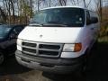 2001 Bright White Dodge Ram Van 3500 Cargo  photo #5