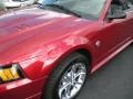Redfire Metallic - Mustang V6 Convertible Photo No. 11