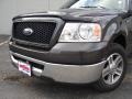 2006 Dark Stone Metallic Ford F150 XLT SuperCab  photo #9