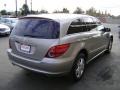 2006 Pewter Metallic Mercedes-Benz R 350 4Matic  photo #3