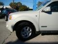 2008 Light Sage Metallic Ford Escape Limited  photo #23