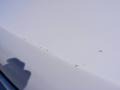 Vibrant White - Grand Marquis LS Photo No. 12