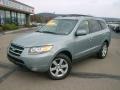 2007 Platinum Sage Hyundai Santa Fe Limited 4WD  photo #1