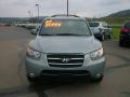 2007 Platinum Sage Hyundai Santa Fe Limited 4WD  photo #2