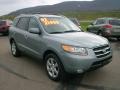 2007 Platinum Sage Hyundai Santa Fe Limited 4WD  photo #3