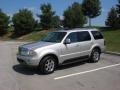 Silver Birch Metallic - Aviator Luxury AWD Photo No. 1