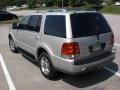 Silver Birch Metallic - Aviator Luxury AWD Photo No. 3