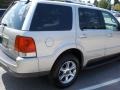 Silver Birch Metallic - Aviator Luxury AWD Photo No. 5