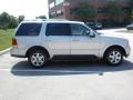 Silver Birch Metallic - Aviator Luxury AWD Photo No. 6