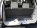 Silver Birch Metallic - Aviator Luxury AWD Photo No. 15