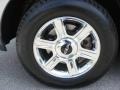 Silver Birch Metallic - Aviator Luxury AWD Photo No. 43