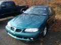 Medium Green Blue Metallic - Grand Am GT Coupe Photo No. 4