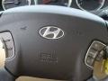 2009 Camel Pearl Hyundai Sonata GLS  photo #21