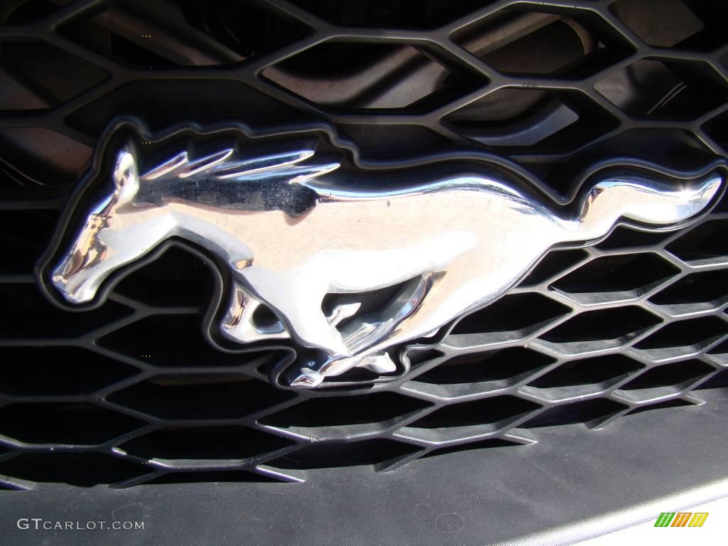 2008 Mustang V6 Deluxe Coupe - Brilliant Silver Metallic / Light Graphite photo #23