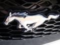 2008 Brilliant Silver Metallic Ford Mustang V6 Deluxe Coupe  photo #23