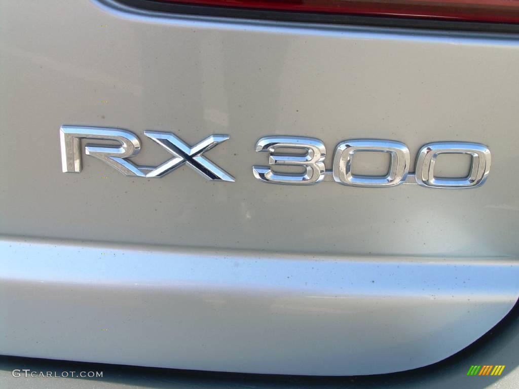 2000 RX 300 AWD - Millennium Silver Metallic / Gray photo #15