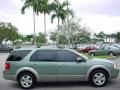 2005 Titanium Green Metallic Ford Freestyle SEL  photo #2