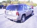 2007 Graystone Metallic Chevrolet TrailBlazer LS  photo #4