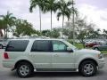 2005 Cashmere Tri Coat Metallic Ford Expedition Limited  photo #2