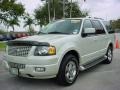 2005 Cashmere Tri Coat Metallic Ford Expedition Limited  photo #8