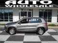 2009 Alpine Grey Metallic Volkswagen Tiguan S  photo #1