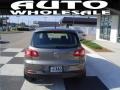 2009 Alpine Grey Metallic Volkswagen Tiguan S  photo #3