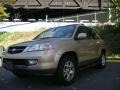 2001 Mesa Beige Metallic Acura MDX   photo #7