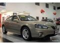 2007 Bronzestone Metallic Pontiac Grand Prix GT Sedan  photo #9