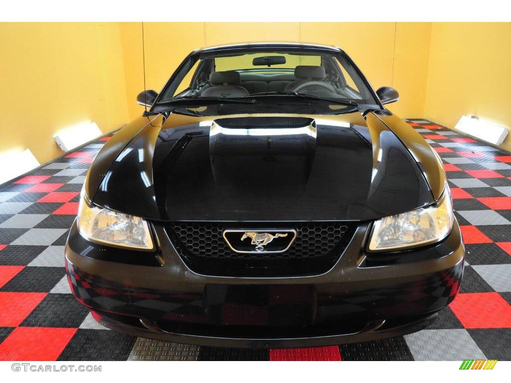 1999 Mustang V6 Coupe - Black / Light Graphite photo #2