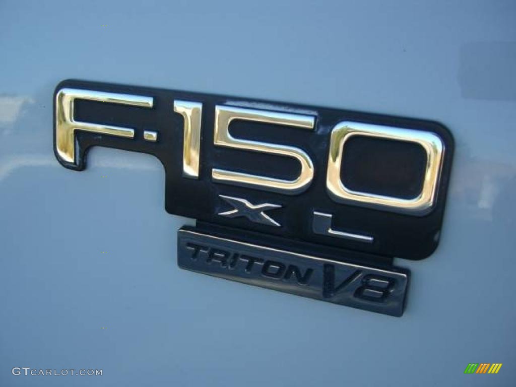 2004 F150 XL Regular Cab - Oxford White / Dark Flint photo #11